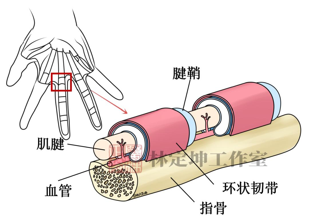 发病处图一